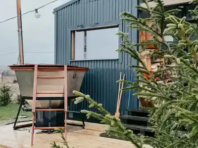 Дом Аиста - 97