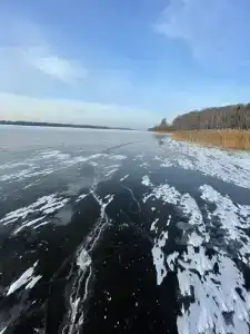 Домики в Заветах - 122