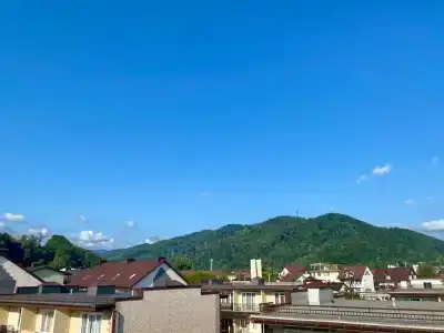 Таунхаус в Тюльпановке - 11