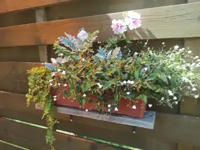 Солнечный дом - 19