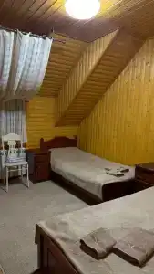 Золотой мустанг - 4