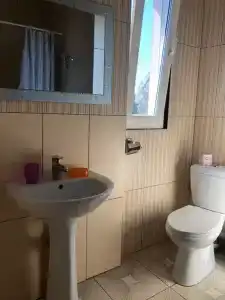 Кипарис - 100
