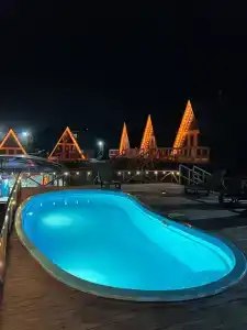 Аквариум - 38