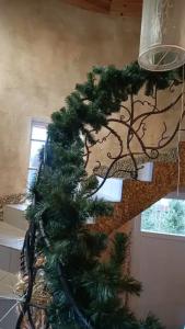 Очень уютный коттедж в черте города - 32