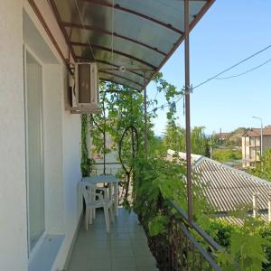Карант - 13