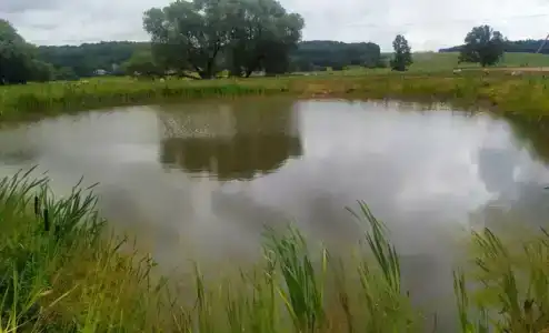 Усадьба Узгорье-VIP возле Минска - 15