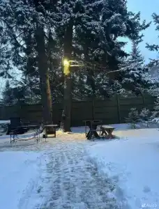 Дом с сауной на участке с хвойным лесом - 21