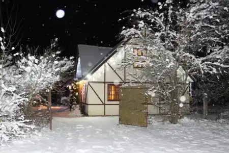 Олизаров Став - 15