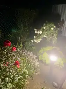 Гостевой дом на Энгельса 15 - 12