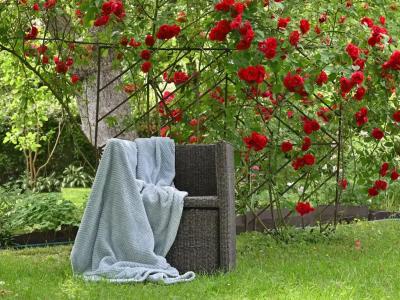 Немецкий дом с садом - 27