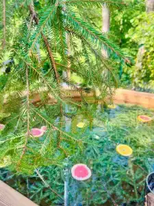 Медвежий угол - 29