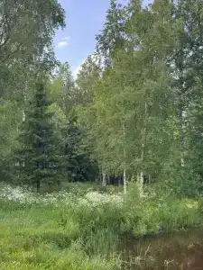 Дом на Ладоге - 2