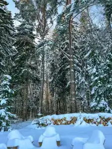 Доминго Дача - 38