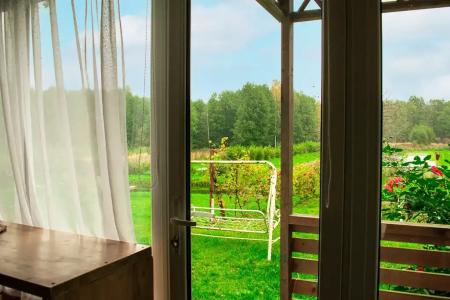 Боровики - 15