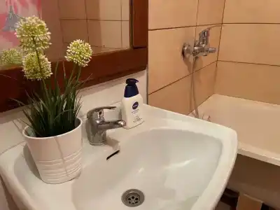 Фирст - 1