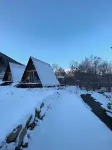 Живописный уголок в лесу - 67