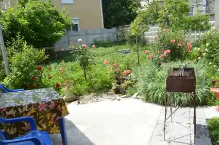 Родничок - 38