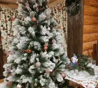 Шишкин Лес - 4