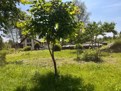 Гостевой домик на хуторе Керино - 90