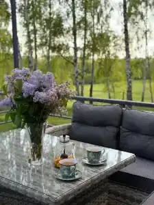 Глэмпинг на Березовой - 50