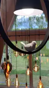 Глэмпинг на Березовой - 40