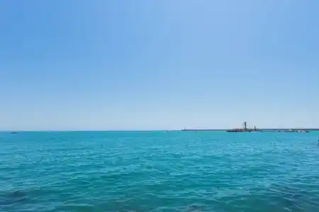 Квартира на улице Роз - 87