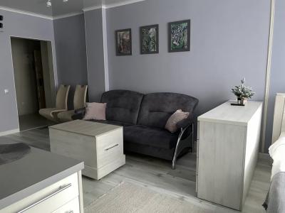 Квартиры на Гагарина 11 - 288