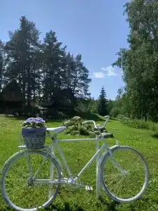 Дом под соснами - 21