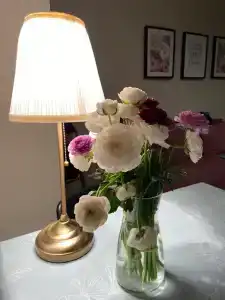 Просторные апартаменты у самого моря - 11