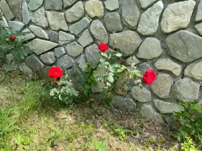 Круглый Дом в Горах - 16