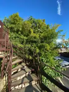 Победы 340 - 1