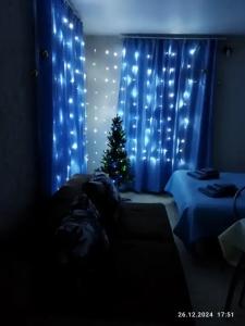 Ракушка Казантипа - 58