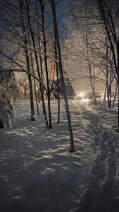 Клевер - 8