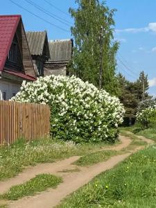 Центральная, 17 - 16