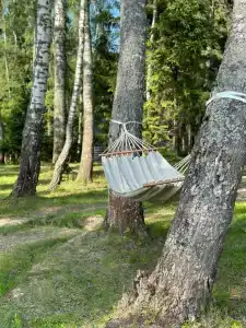 Вирест Доме - 57