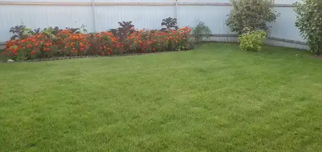 Домик в деревне Липовицы - 29