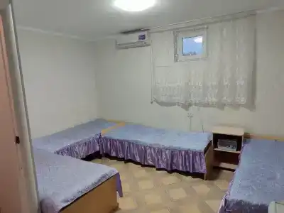 Ирина - 8