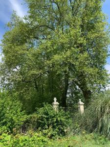 Квартиры на Цветочной 34 - 748