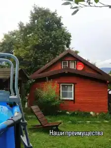 Дрозды - 10