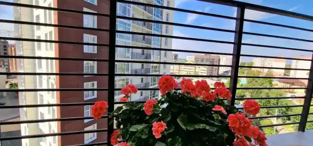 Дом Альберта - 4