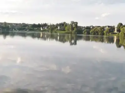 Синички - 14