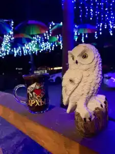 Терраса Домики в Архызе - 100