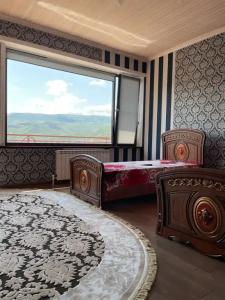 Пение птиц - 117