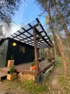 Можжевельник - 1