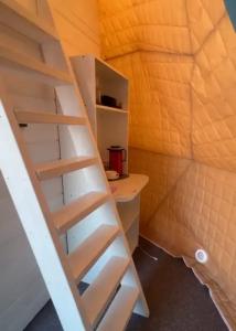 Аквариум - 137