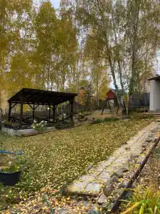 Шале - 19