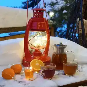 Дом под соснами - 19