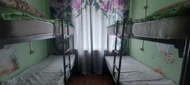 Спутник - 30
