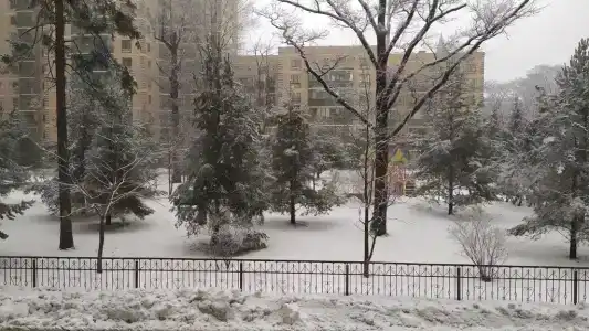 Квартиры на Фермском шоссе 32 - 109