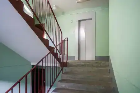 Просвет - 26